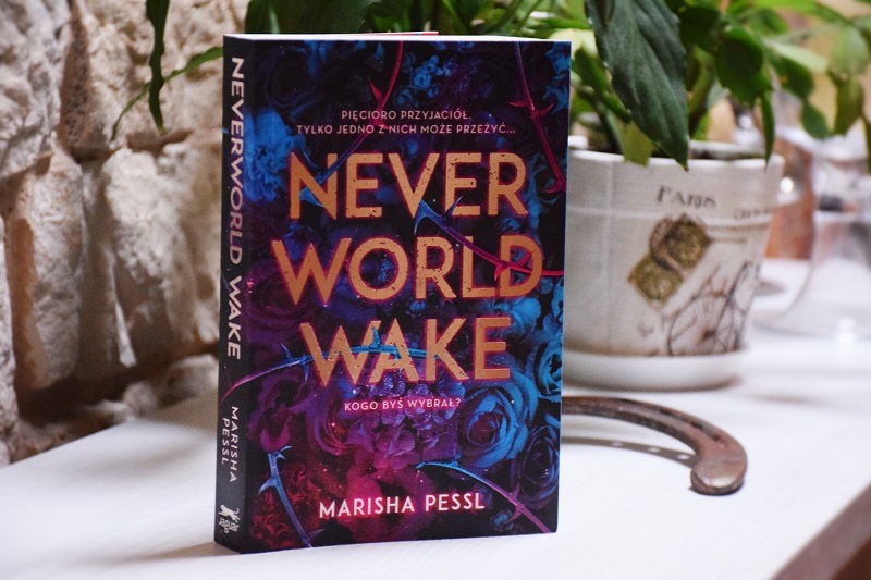 Never World Wake – pętla czasowa – z cyklu literatura młodzieżowa